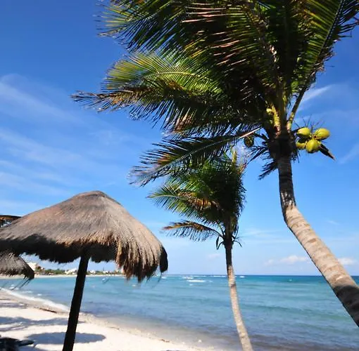 Hotel Del Sol Beachfront