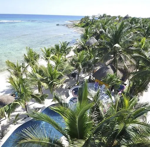 Del Sol Beachfront 2*